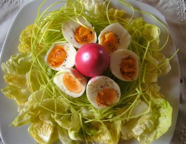 Eier auf Osternest mit Blattsalat