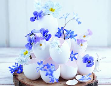 Blüten in Schale