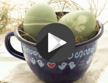 Video - Eier grün färben mit Spinat und Brennnessel