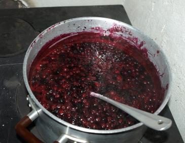 Heidel-Preiselbeermix-Marmelade