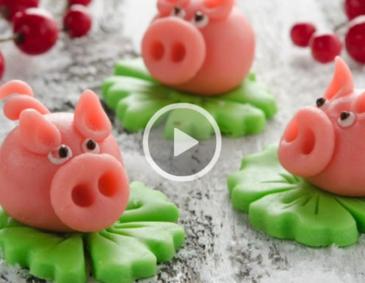 Video - Glücksschweinchen