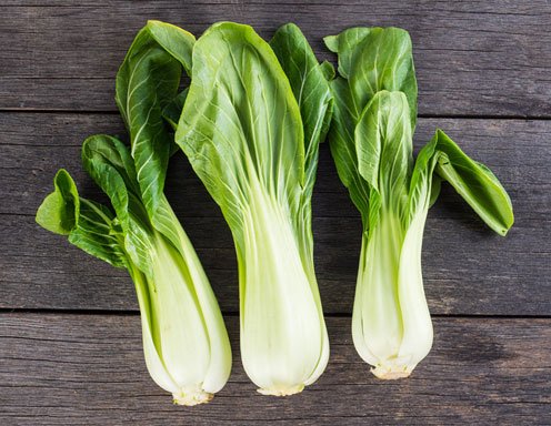 Die Besten Pak Choi Rezepte Ichkoche At