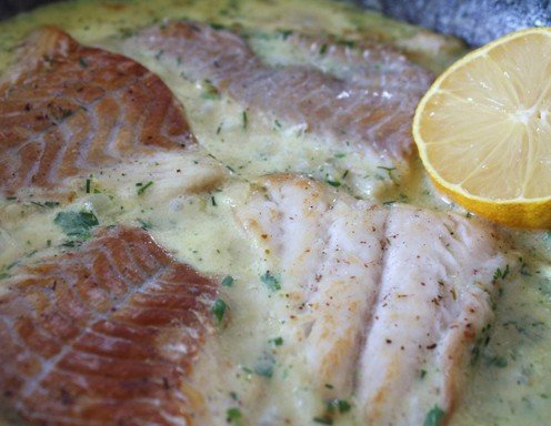 Rezept für Zanderfilet in Zwiebel-Knoblauchsauce