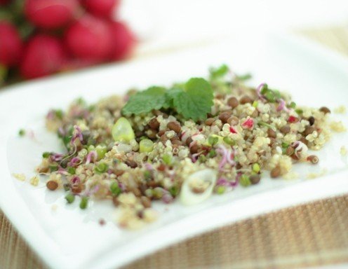 Quinoa-Linsen-Salat mit Radieschen und Zitronenmelisse