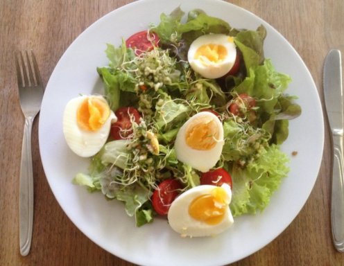 Luzerne Salat Luzerne Salat