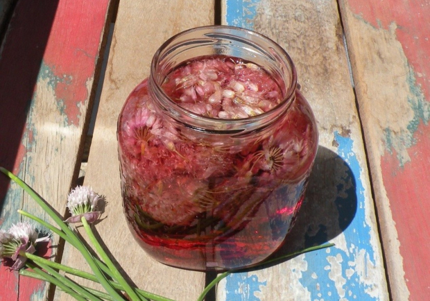 Schnittlauchblüten Essig Rezept - ichkoche