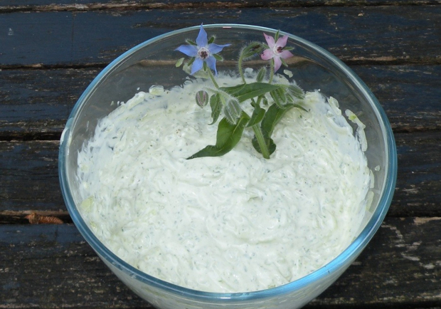 Tsatsiki Rezept - ichkoche.at