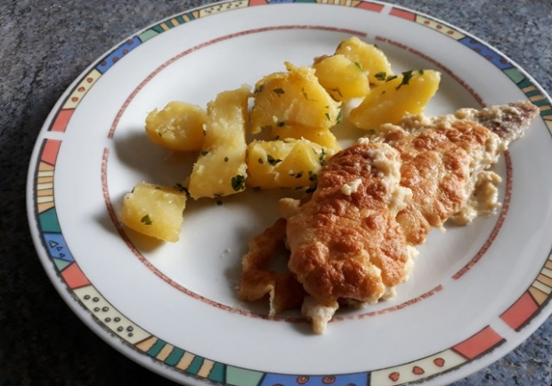 Seefisch mit Käsesauce Rezept - ichkoche.at