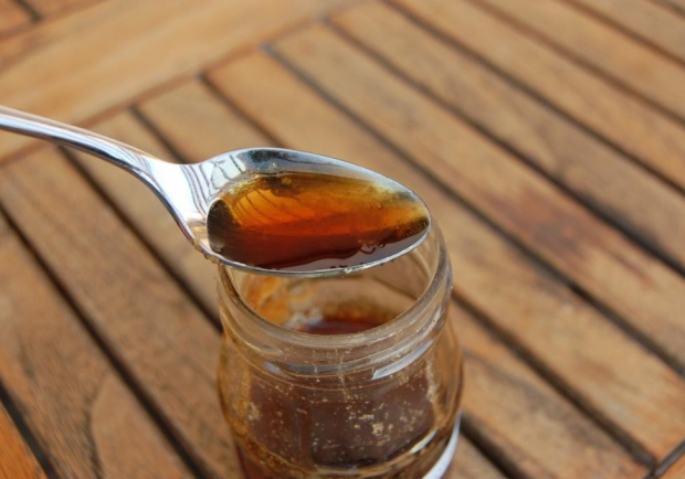 Fichtenschnaps Rezept, Sirup Strahlemensch Fichten Machen