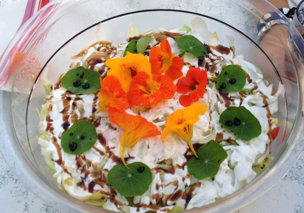 Eiersalat mit Shrimps und Basilikumjoghurt Rezept - ichkoche