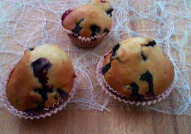 Heidelbeermuffins Rezept - ichkoche.at