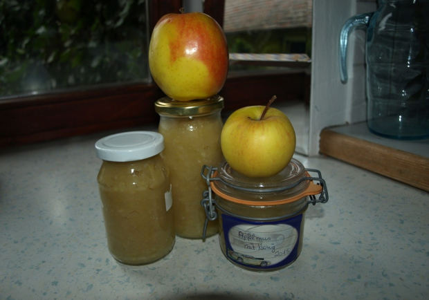 Apfelmus mit Honig Rezept - ichkoche