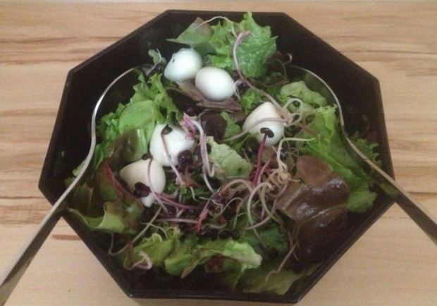 Blattsalat mit Mozzarella und Radieschensprossen Rezept - ichkoche